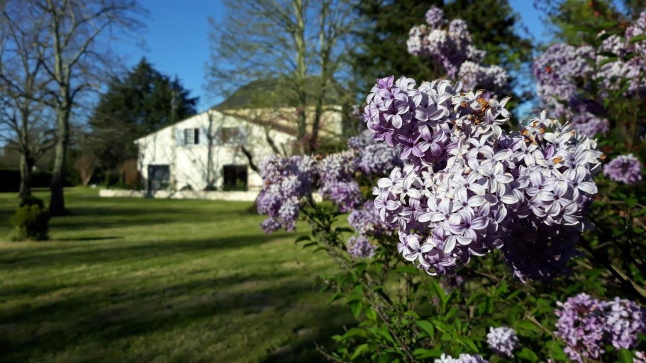 La Maison Du Champ De Beaumont Galgon Bagian luar foto
